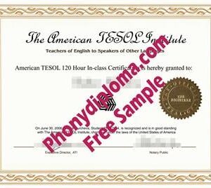 American TESOL
