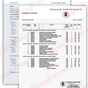 Custom Transcript From Your Scan - Australia