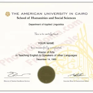 Fake Diploma from Egypt University