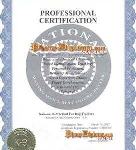 Cert Professional Certification