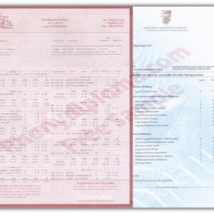 Match Replica Transcripts - USA