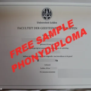 Fake Diploma from Germany University