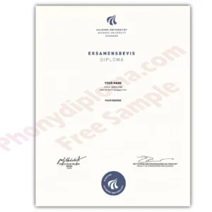 Denmark University Diploma