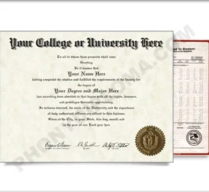 Fake USA College or University Diploma and Transcripts - Straight Name / Right Emblem