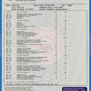Transcript Template 1
